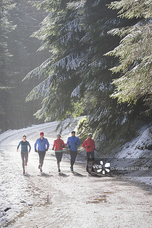 一家人在阳光明媚、白雪覆盖的树林中慢跑图片素材