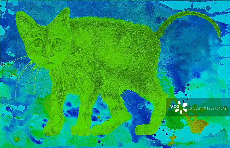 插图动物猫画与小猫的水彩画肖像与拱背在一个抽象的背景上蔓延的水彩画在绿色的颜色图片素材