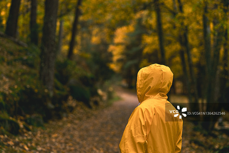 一个穿着黄色雨衣的人在秋天的雨中穿过森林的肖像。图片素材