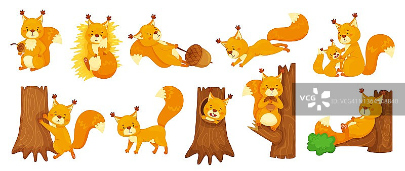 卡通可爱的松鼠睡觉，跳跃，坐在树枝上。快乐松鼠抱橡子，森林野生动物，林地吉祥物矢量集图片素材