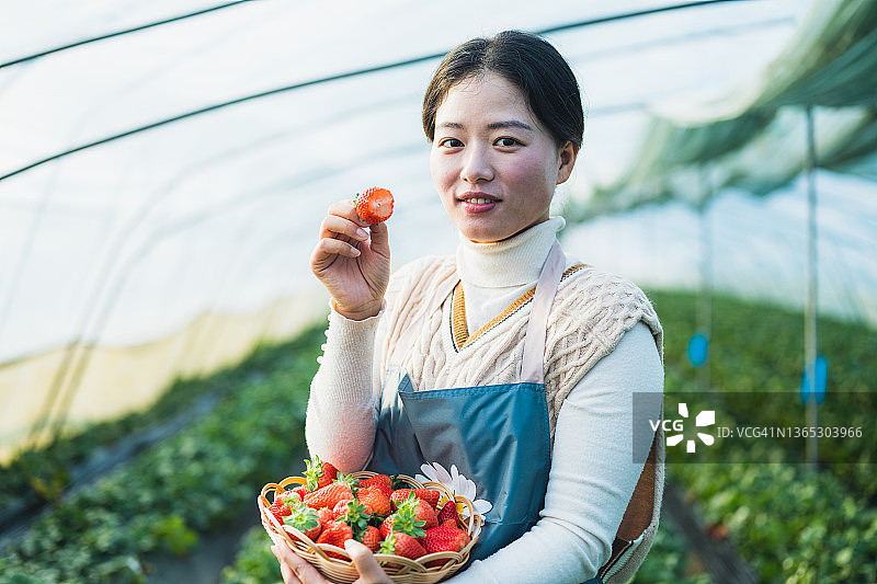 一位年轻美丽的亚洲女子一边品尝刚摘的草莓，一边看着镜头图片素材
