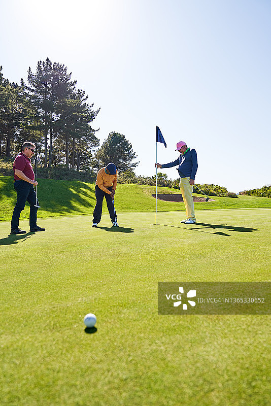 在阳光明媚的高尔夫球场上，男性高尔夫球手击球入洞图片素材