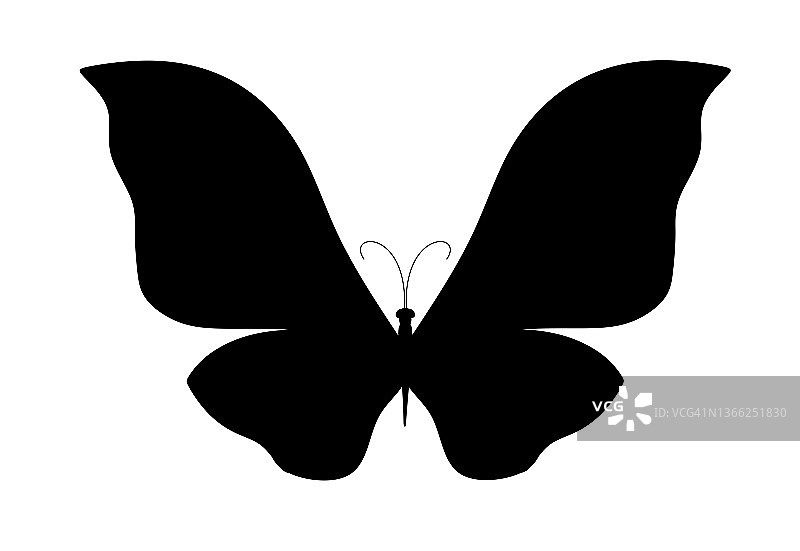 蝴蝶剪影黑色孤立在白色背景上图片素材