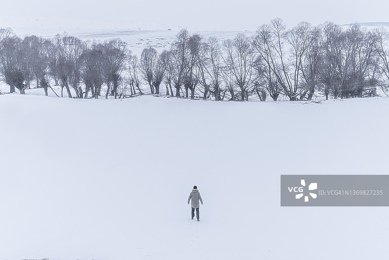 当人类走向倒下的树木和白雪覆盖的平原上可见的树木时的背景图片素材