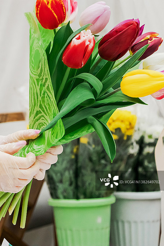 女花商制作郁金香花束。手捧五彩缤纷的春花。图片素材