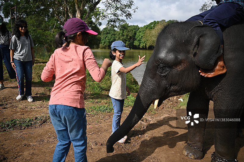 在卡纳塔克邦库奥格的杜巴尔大象营地，女孩们抚摸着一头小象图片素材
