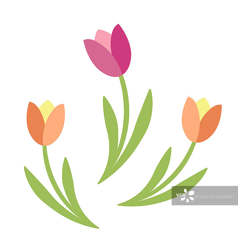 手绘郁金香向量。3月8日问候插图。图片素材