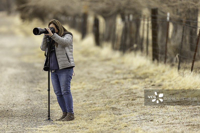 拍摄野生动物照片的女人图片素材