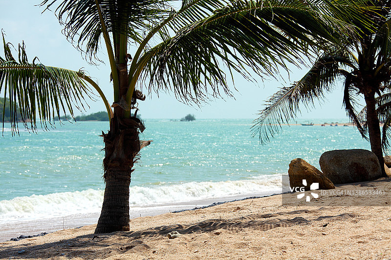 清新的热带岛屿沙滩，闪亮的大海和棕榈树图片素材
