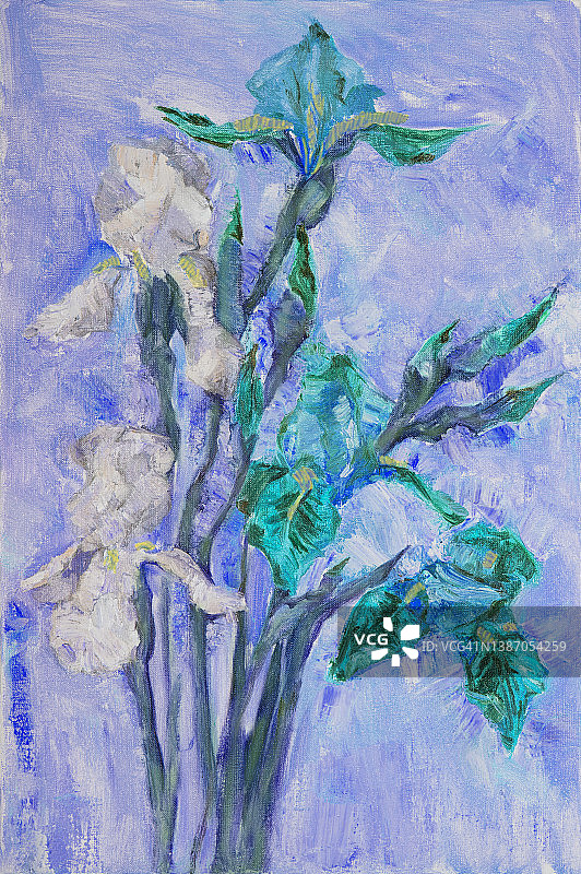 插图油画风景白色鸢尾花长茎，他们的芽在花园植物草叶的蓝色背景上图片素材