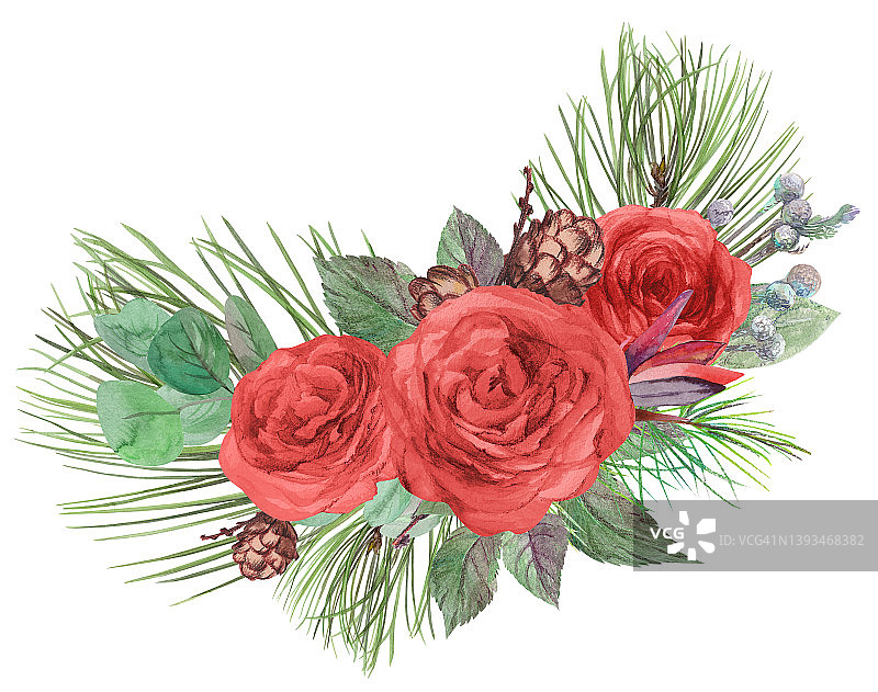 圣诞水彩花束与冷杉枝圆锥体和红玫瑰图片素材
