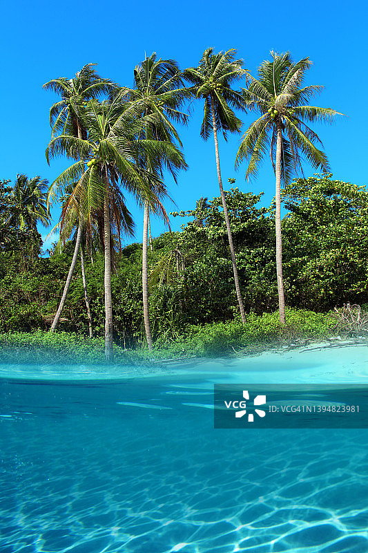 部分水下的观点清新的热带岛屿海滩与清澈的海水和棕榈树图片素材