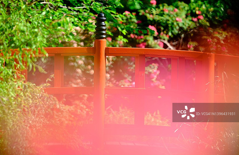 日本花园的禅意氛围图片素材