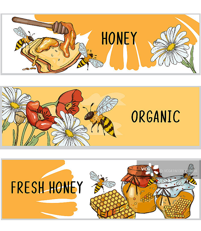 蜂蜜横幅或标签集，手绘彩色雕刻插图。图片素材