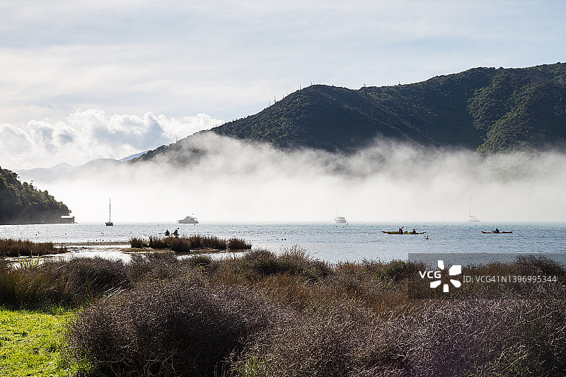 新西兰的Whatamango湾，海雾笼罩着停泊的船只和皮划艇，前景是草图片素材
