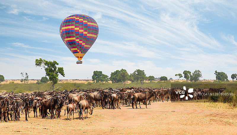 热气球和角马在野生动物迁徙时成群结队图片素材