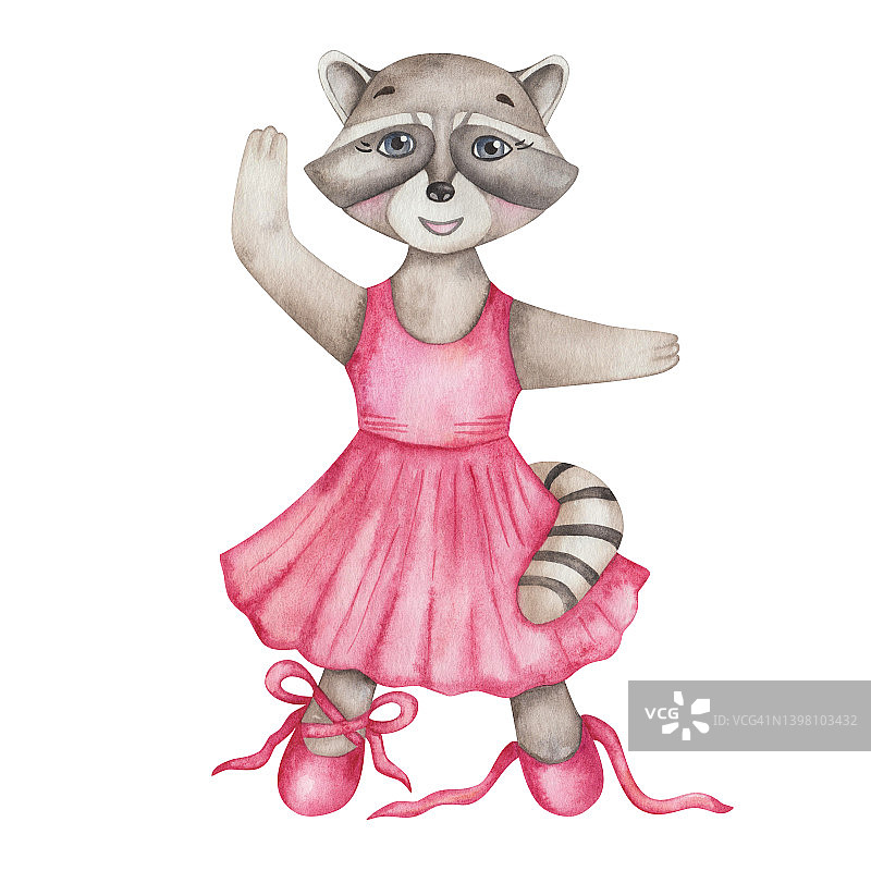 手绘水彩插图灰色浣熊女孩在舞蹈工作室粉红色的裙子和芭蕾舞鞋与花边。卡通动物的性格图片素材