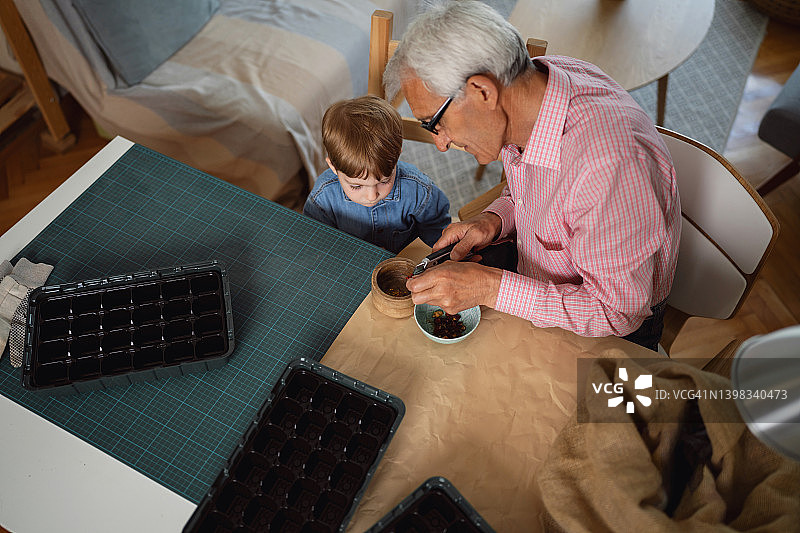 爷爷准备播种的高角度视角，而他蹒跚学步的孙子在协助他图片素材