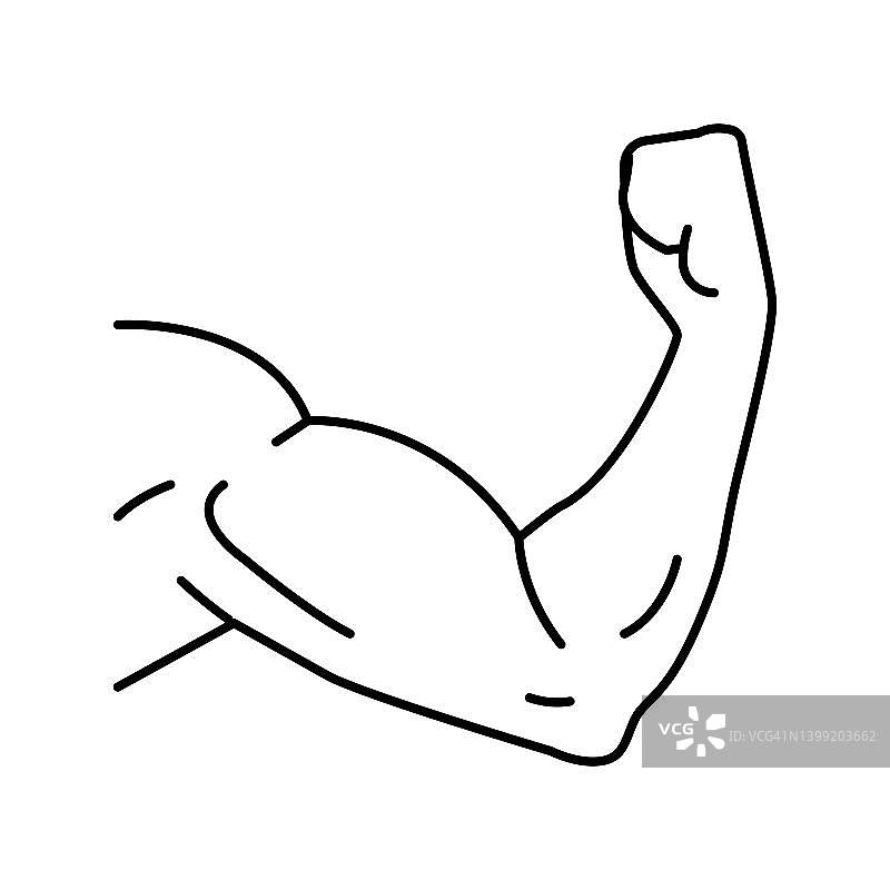 手臂肌肉线条图标矢量插图图片素材