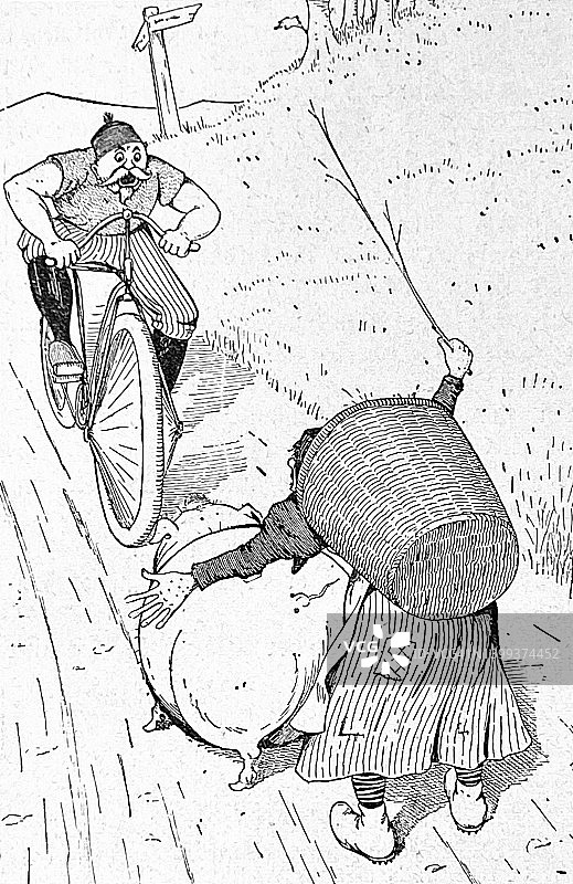 就在一场自行车事故发生前不久，一名男子带着一个篮子和一头猪开车撞上了一位农夫的妻子图片素材