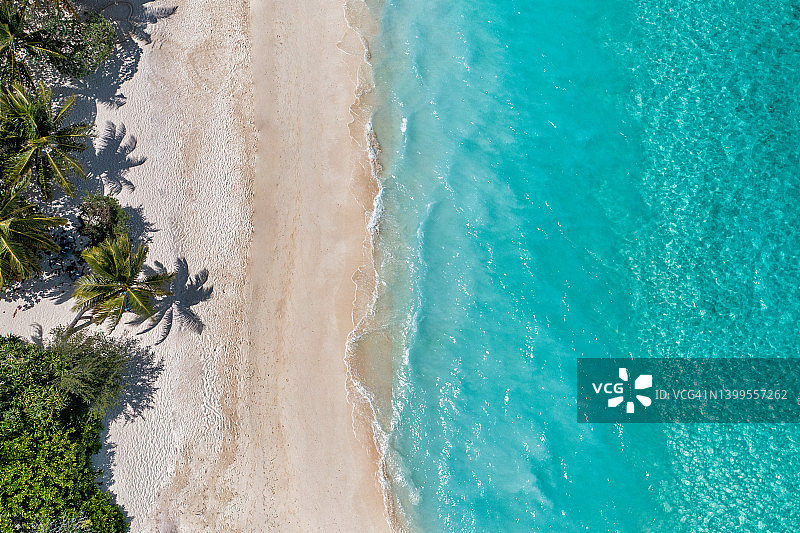 热带海岛棕榈树海滩俯瞰，异域天堂海滩目的地概念，复制空间。暑假无人机观景，放松海浪海洋泻湖图片素材
