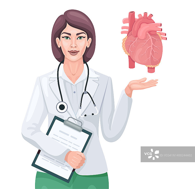 女医生展示人类心脏解剖。图片素材