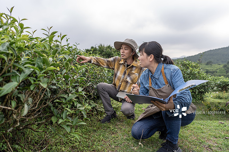 两名亚洲现代农场工人在试验田中进行数据收集图片素材