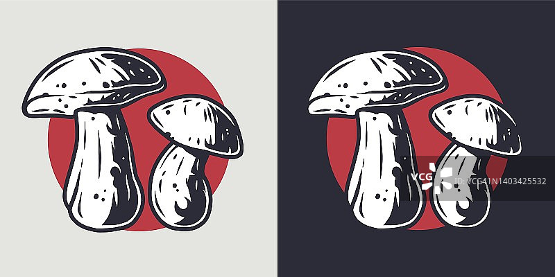秋季森林boletus蘑菇采摘素食菜单图片素材
