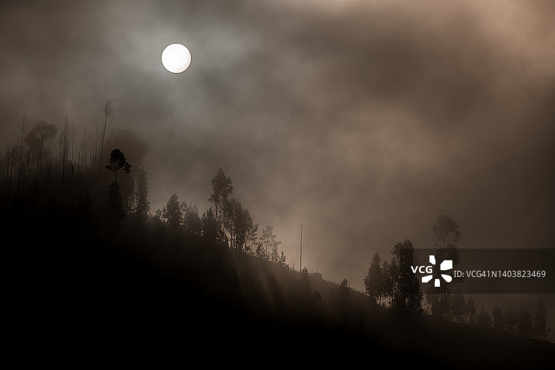 山顶和树木的美景，日出的薄雾和清晨的大雾。图片素材