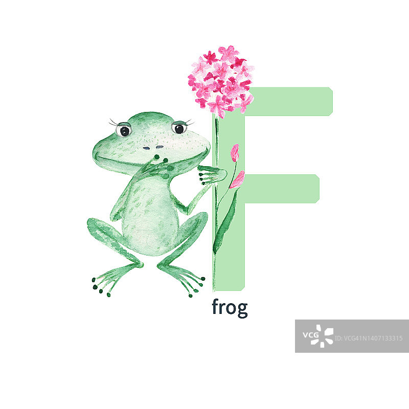 字母F，青蛙，可爱的小朋友，五颜六色的动物，字母ABC。水彩插图孤立在白色背景。图片素材