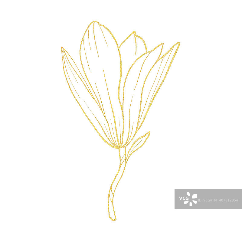 金线艺术植物剪纸玉兰花图片素材