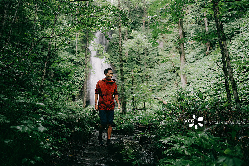 雨中在茂密的绿色森林里徒步的人图片素材