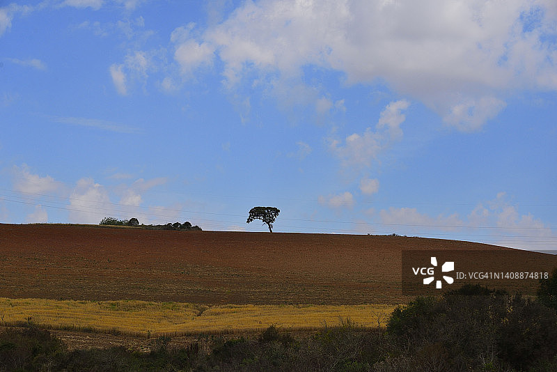 巴西米纳斯吉拉斯州的风景农场图片素材