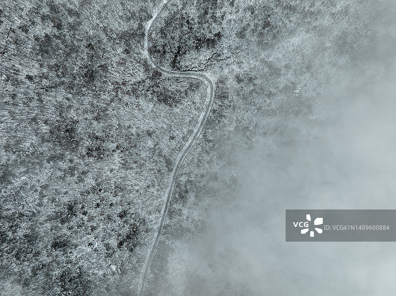 在一个下雪天，森林里有一条路图片素材