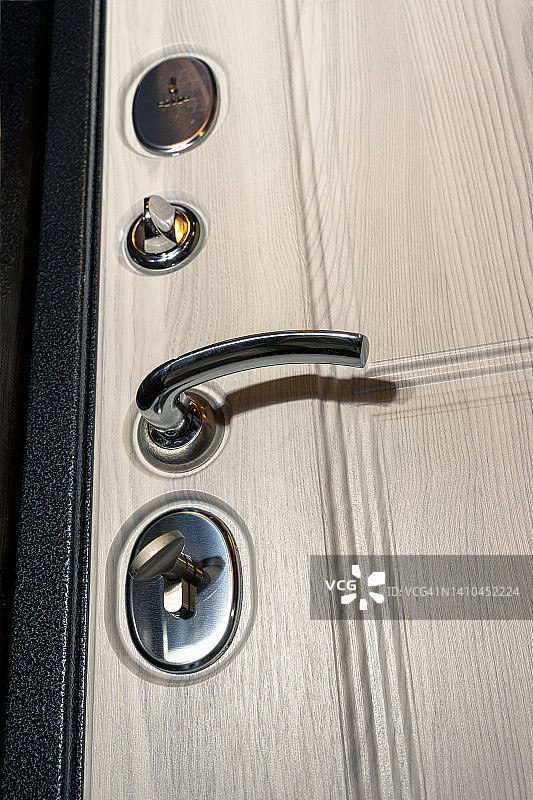 现代可靠的金属门，木制内部装饰和三重密封图片素材
