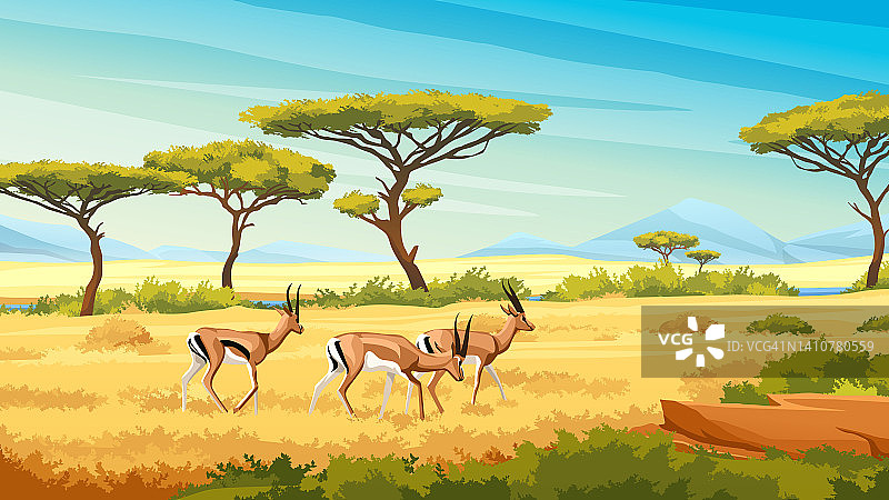非洲大草原景观与野生狍幼鹿，非洲自然，卡通背景。绿色的树木、岩石和蓝天下的平原草原。肯尼亚全景图片素材