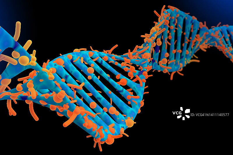 DNA螺旋被病毒攻击图片素材