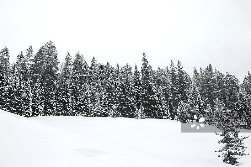 雪后山坡上的乡村景色图片素材