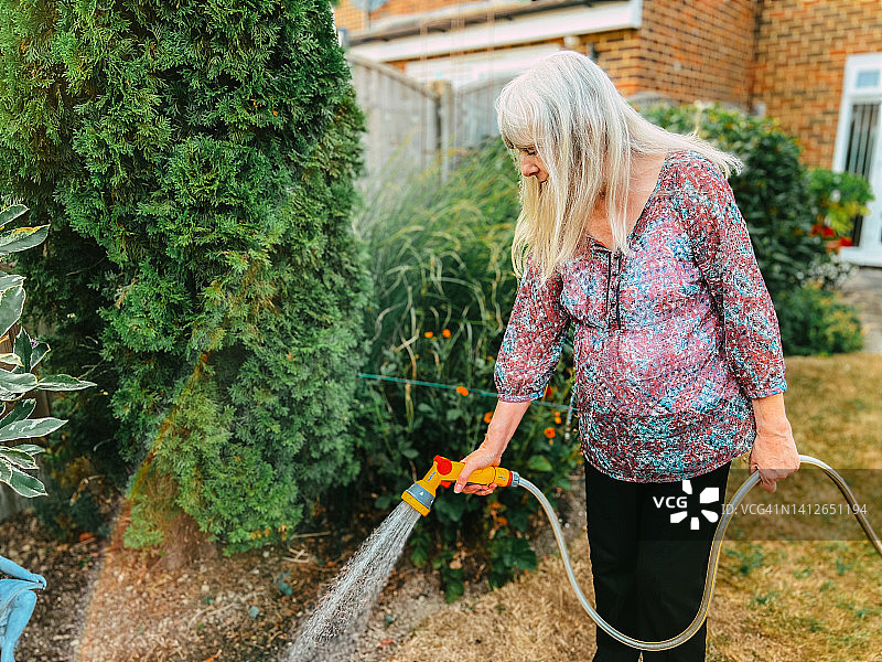 高级妇女在夏天用软管给花园浇水图片素材