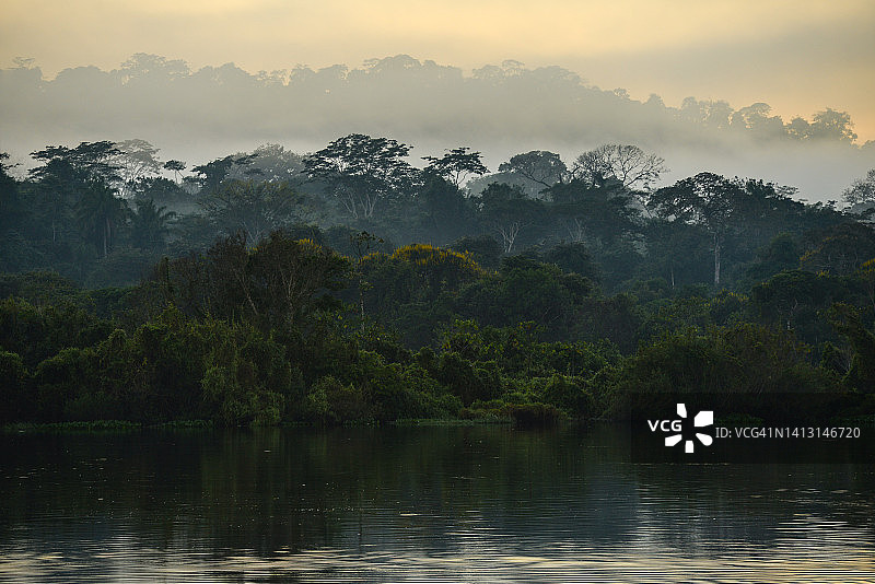 Guaporé-Itenez河雨林上一个雾蒙蒙的早晨图片素材