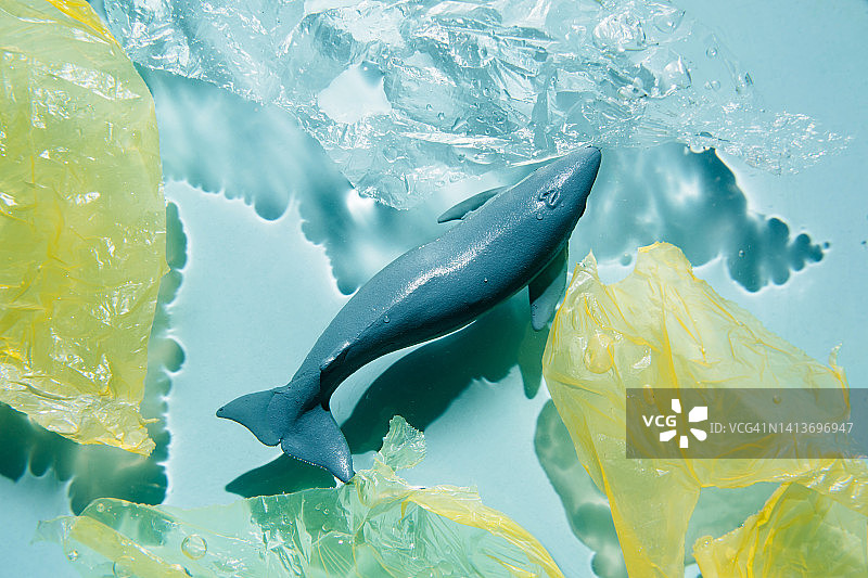 鱼和塑料袋一起在海里游泳。海洋塑料污染，节约环境理念图片素材