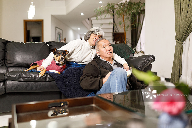 一对相爱的老夫妇和他们的宠物一起在客厅看电视图片素材