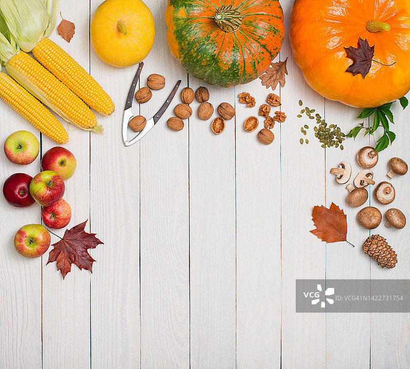 秋天的背景与南瓜，玉米，坚果，蘑菇，苹果和树叶在白色的木制背景。丰收和感恩的概念。图片素材