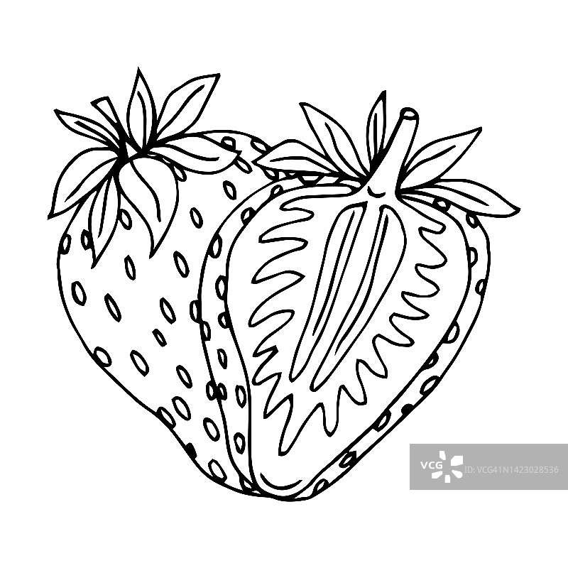 在白色背景上手绘草莓矢量图片素材