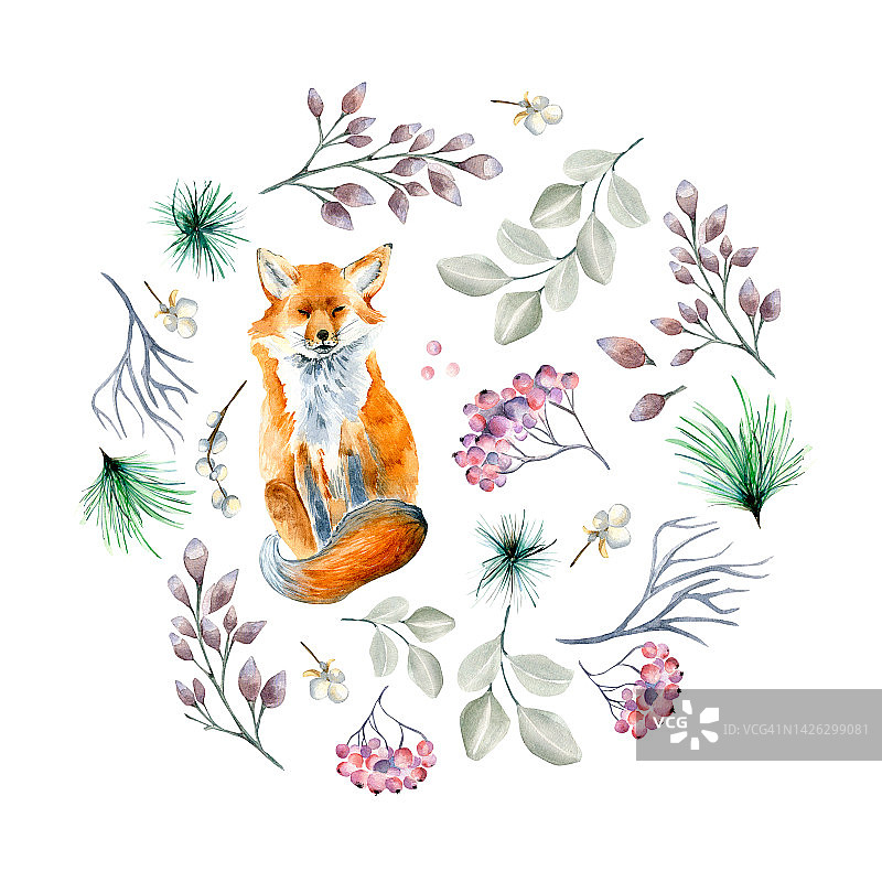 圣诞圈与狐狸水彩插图孤立的白色。图片素材