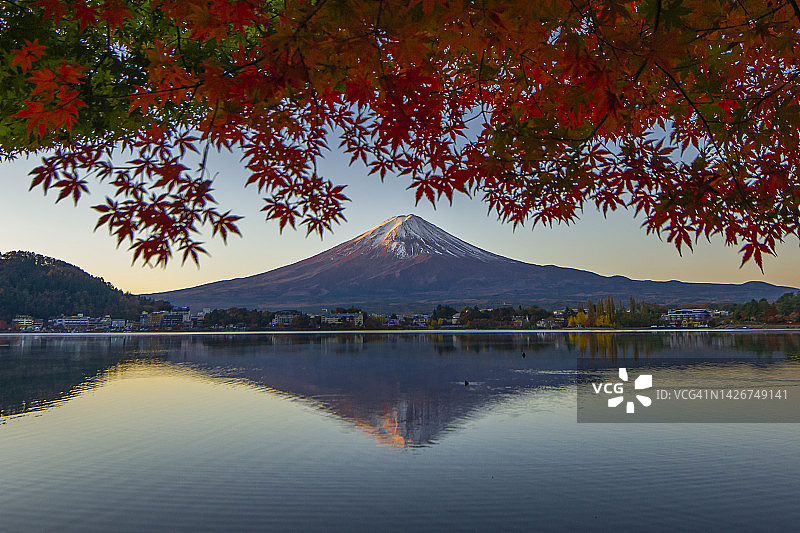 日本川口湖的富士山和秋天的红枫叶图片素材