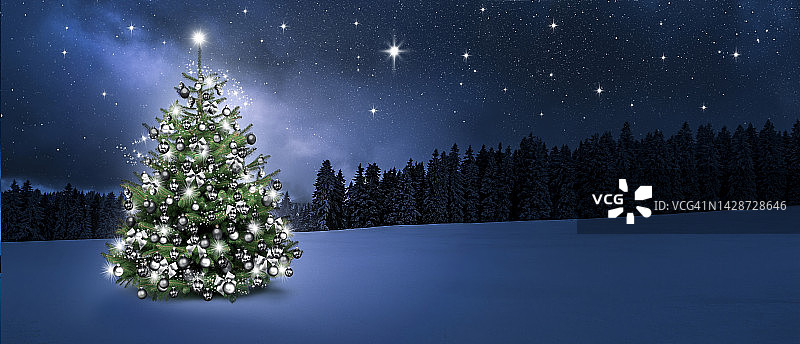 冬天的森林里有点亮的圣诞树图片素材