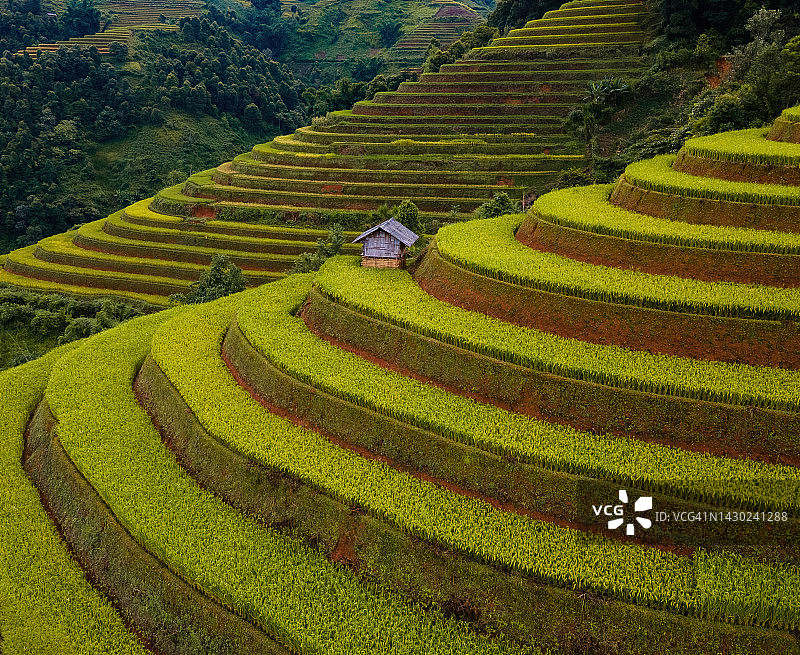 越南稻田的鸟瞰图图片素材