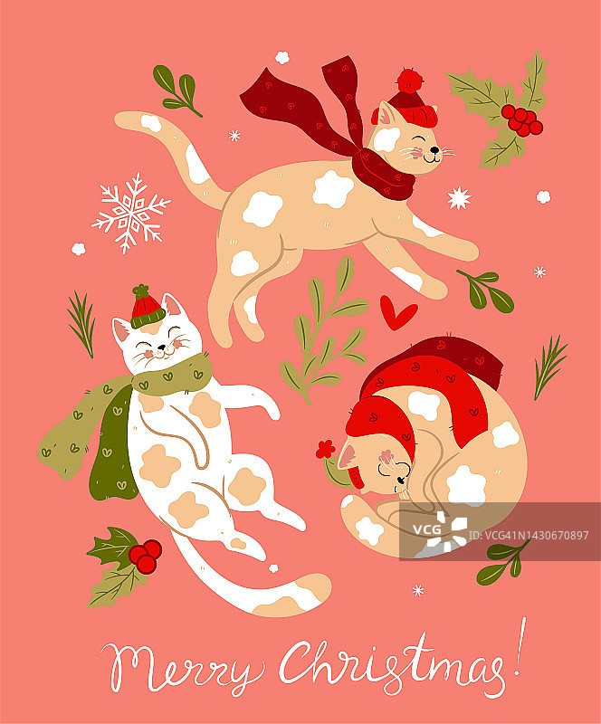 一组戴着围巾和帽子的可爱的圣诞猫。矢量图形。图片素材