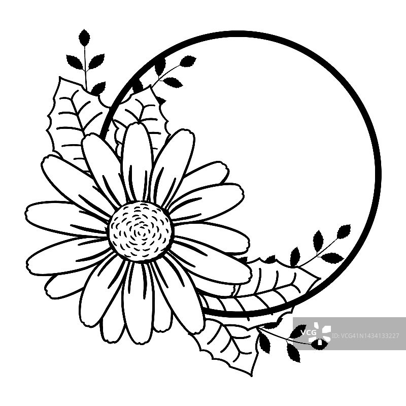 框架与向日葵，洋甘菊的大抽象花。农舍字母组合模板。花边界的标签，名称标志。画有叶子和圆圈的花。圆形简单花环设计图片素材